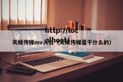 天娱传媒mv入口（天娱传媒是干什么的）